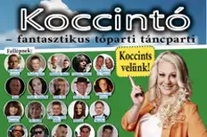 Koccintó
